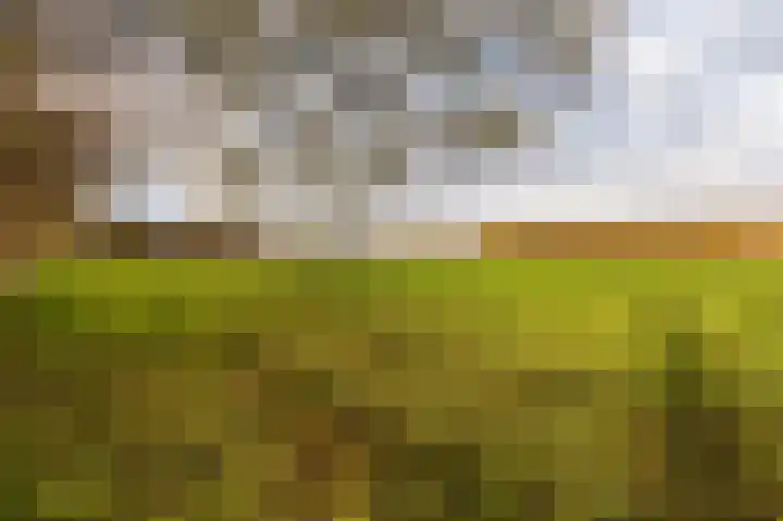 Hazenpad 26 Leur thumbnail 49