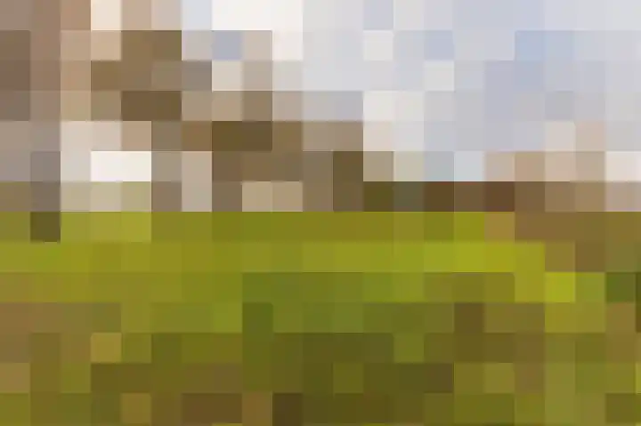 Hazenpad 26 Leur thumbnail 50