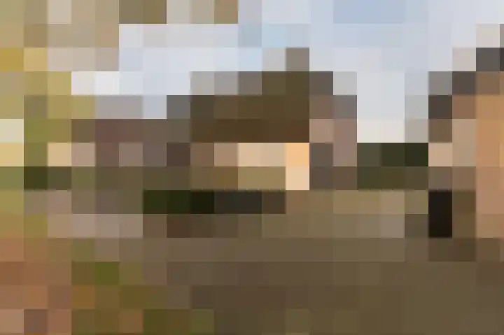 Hazenpad 26 Leur thumbnail 53