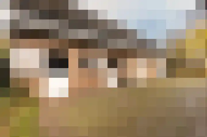 Hazenpad 26 Leur thumbnail 55