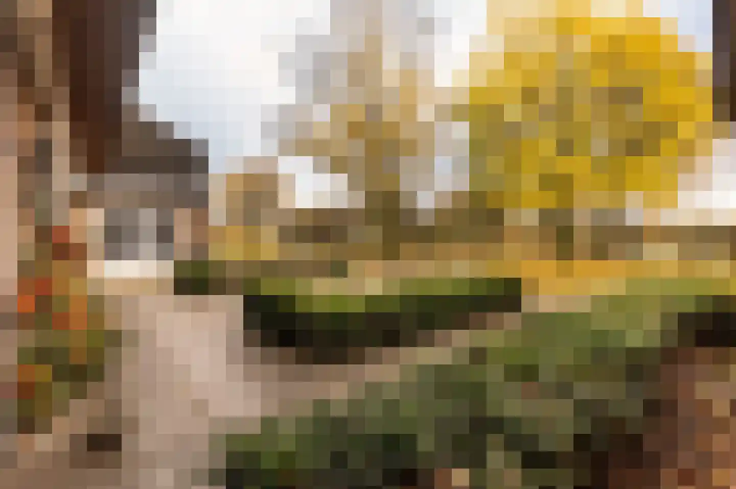 Hazenpad 26 Leur thumbnail 56
