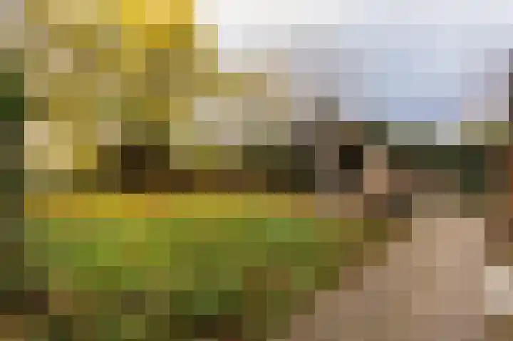Hazenpad 26 Leur thumbnail 57