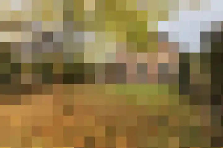 Hazenpad 26 Leur thumbnail 58