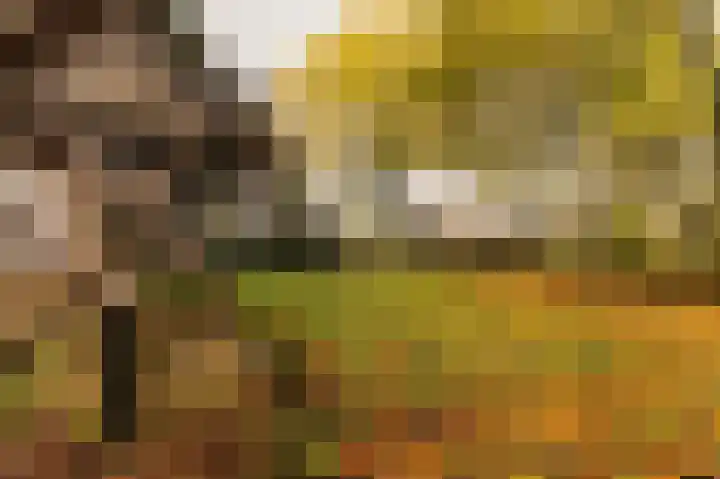 Hazenpad 26 Leur thumbnail 60