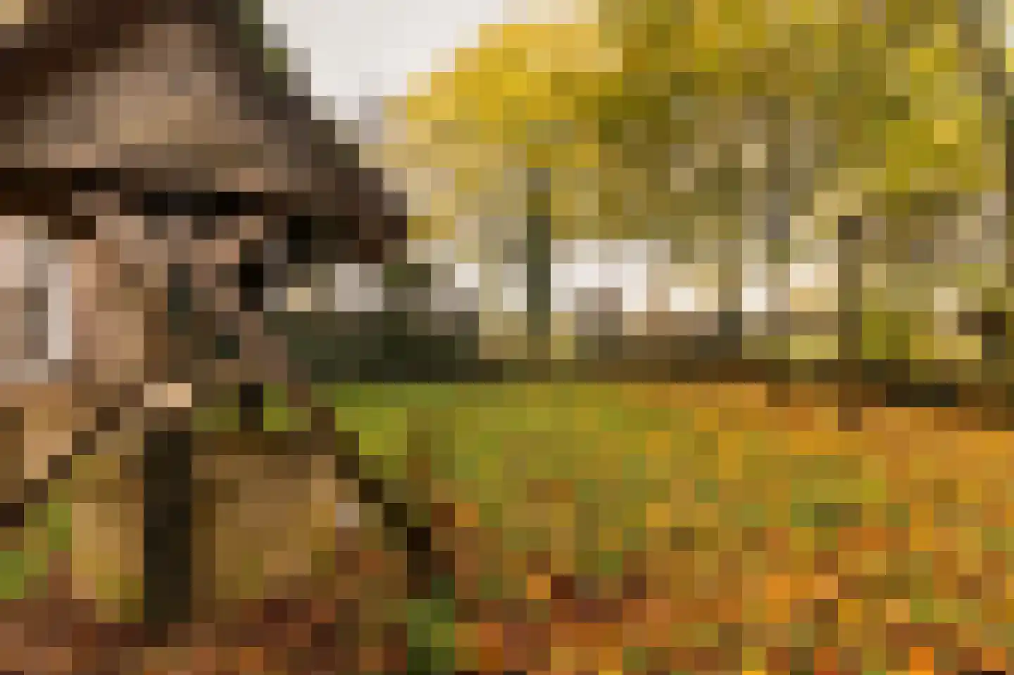 Hazenpad 26 Leur thumbnail 60
