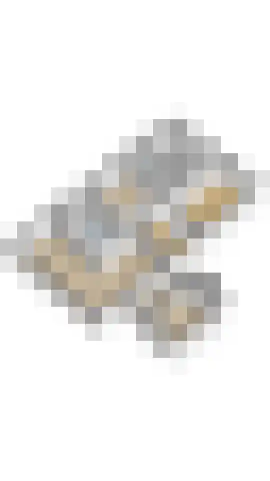 Hazenpad 26 Leur thumbnail 64