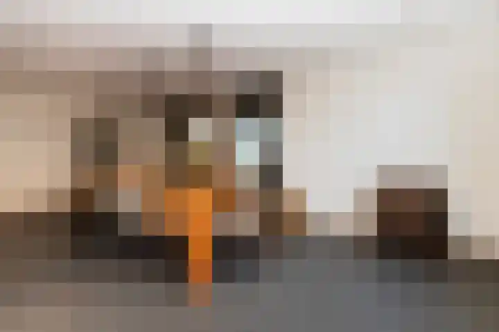 Hazenpad 26 Leur thumbnail 7