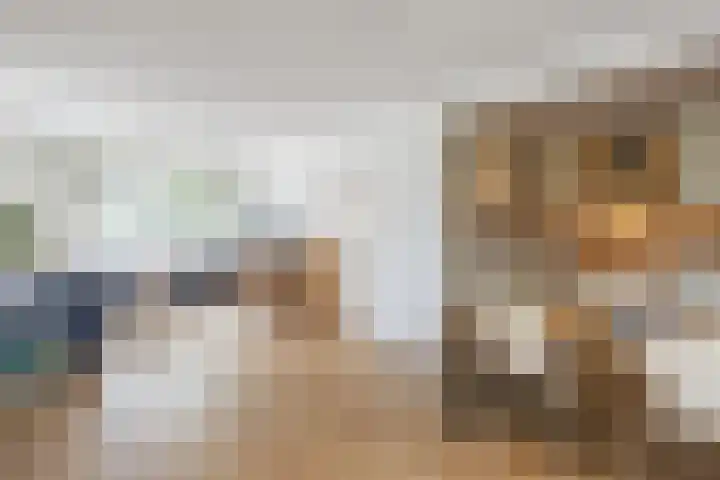 Hazenpad 3 Alteveer thumbnail 12