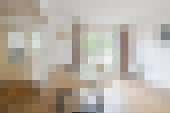 Hazenpad 3 Alteveer thumbnail 14