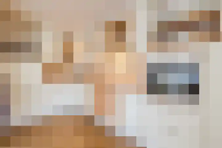 Hazenpad 3 Alteveer thumbnail 15