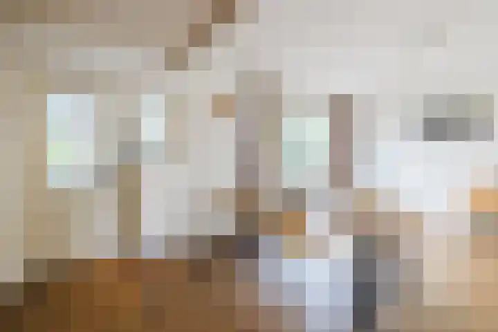 Hazenpad 3 Alteveer thumbnail 16