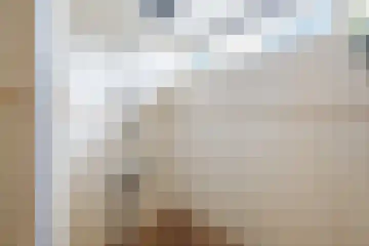 Hazenpad 3 Alteveer thumbnail 29