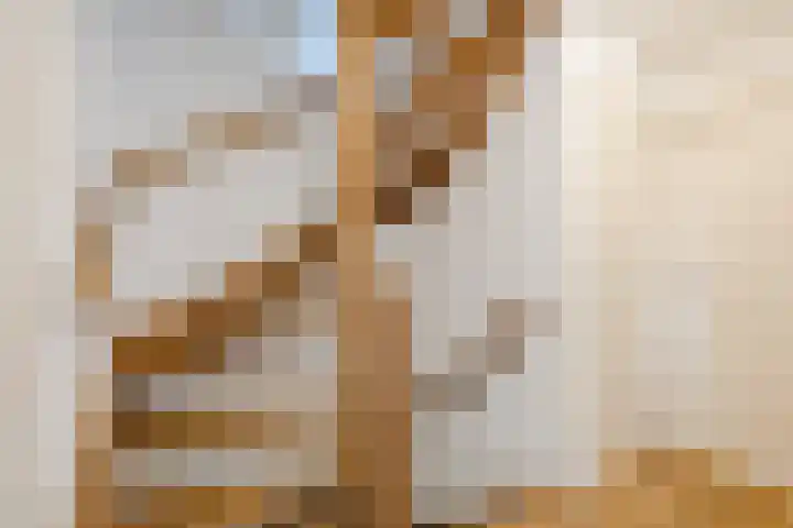 Hazenpad 3 Alteveer thumbnail 30