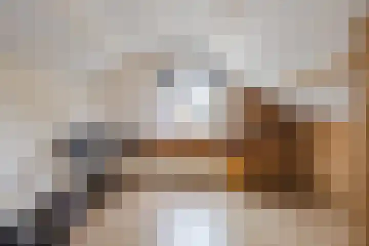Hazenpad 3 Alteveer thumbnail 32