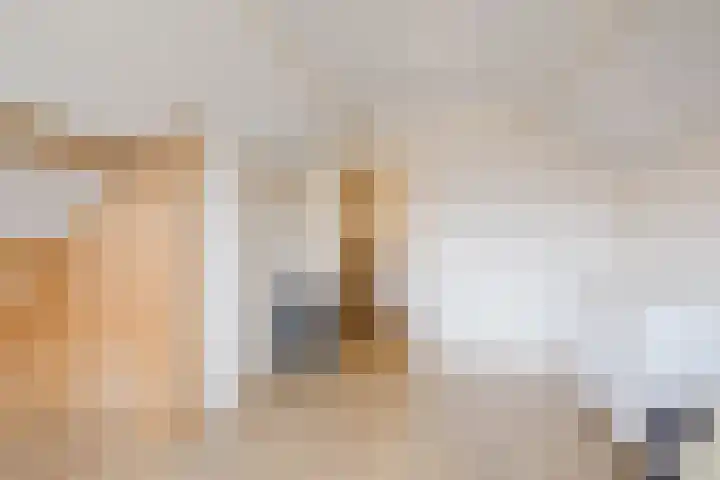 Hazenpad 3 Alteveer thumbnail 33