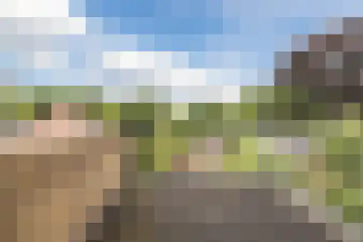 Hazenpad 3 Alteveer thumbnail 35