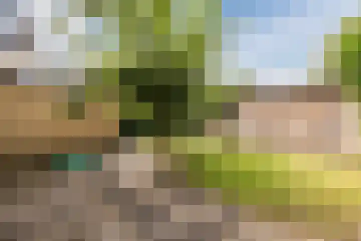 Hazenpad 3 Alteveer thumbnail 36
