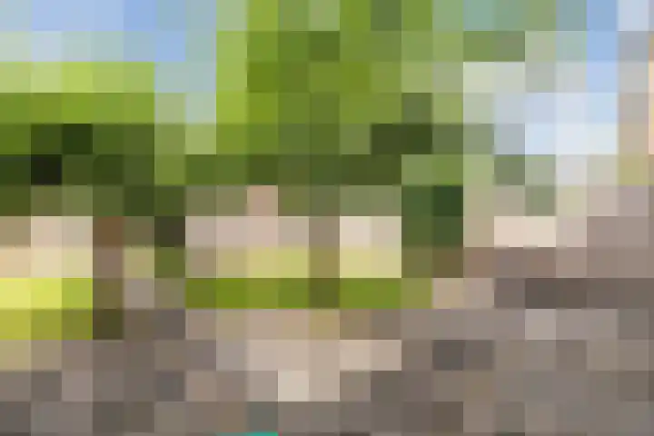 Hazenpad 3 Alteveer thumbnail 37