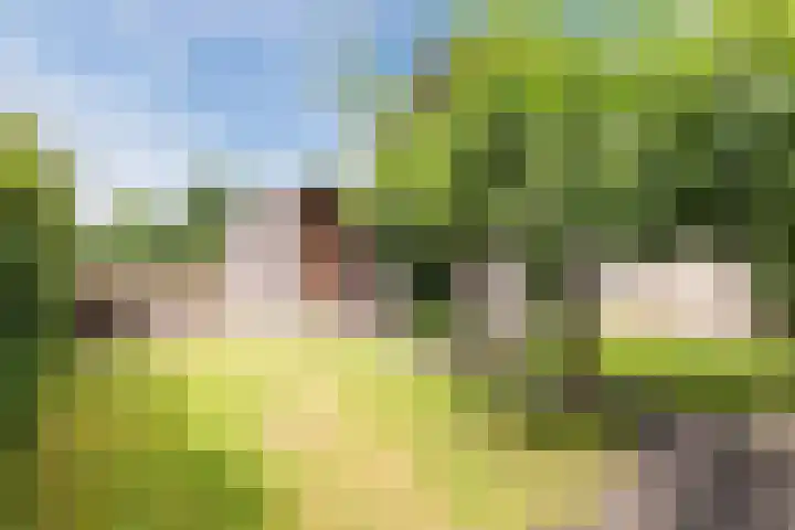 Hazenpad 3 Alteveer thumbnail 38