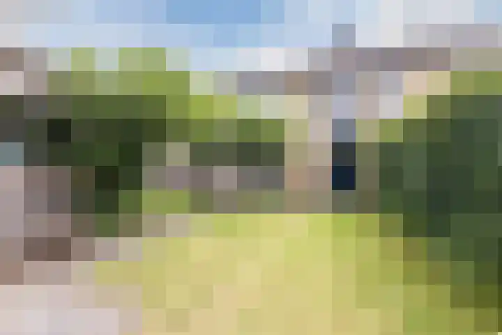 Hazenpad 3 Alteveer thumbnail 39