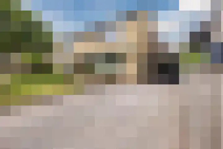 Hazenpad 3 Alteveer thumbnail 4
