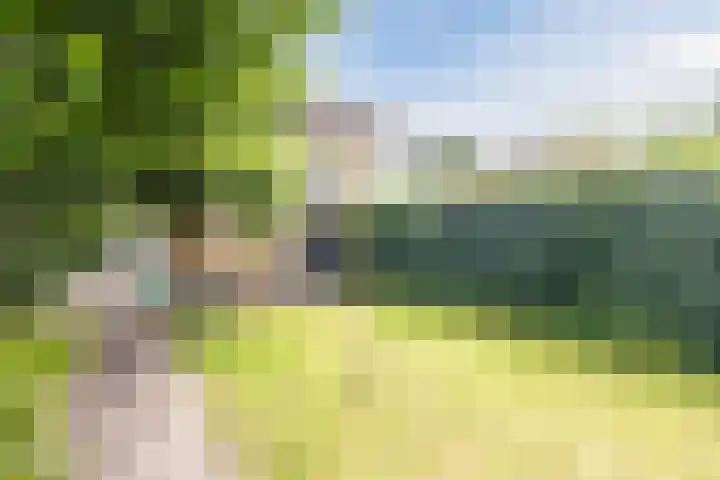 Hazenpad 3 Alteveer thumbnail 40