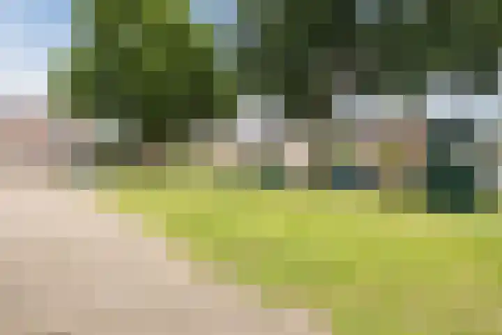 Hazenpad 3 Alteveer thumbnail 41
