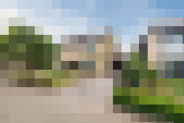 Hazenpad 3 Alteveer thumbnail 45