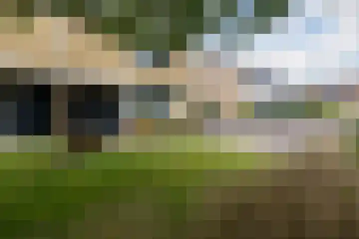 Hazenpad 3 Alteveer thumbnail 5