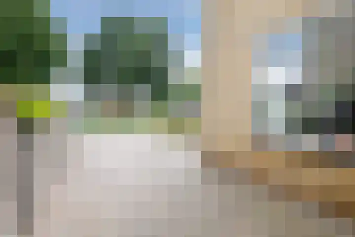 Hazenpad 3 Alteveer thumbnail 8