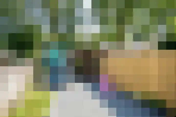 Hazenpad 34 Tegelen thumbnail 22