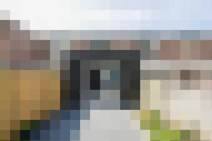 Hazenpad 34 Tegelen thumbnail 25