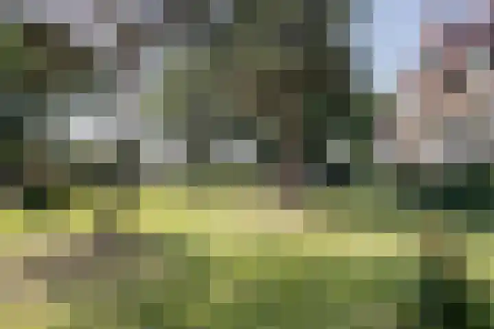 Hazenpad 34 Tegelen thumbnail 28