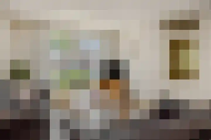 Hazenpad 4 Neerkant thumbnail 10