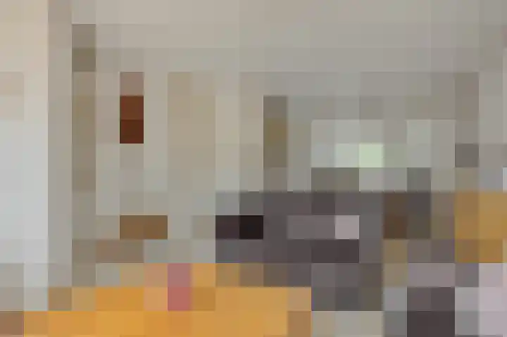 Hazenpad 4 Neerkant thumbnail 11