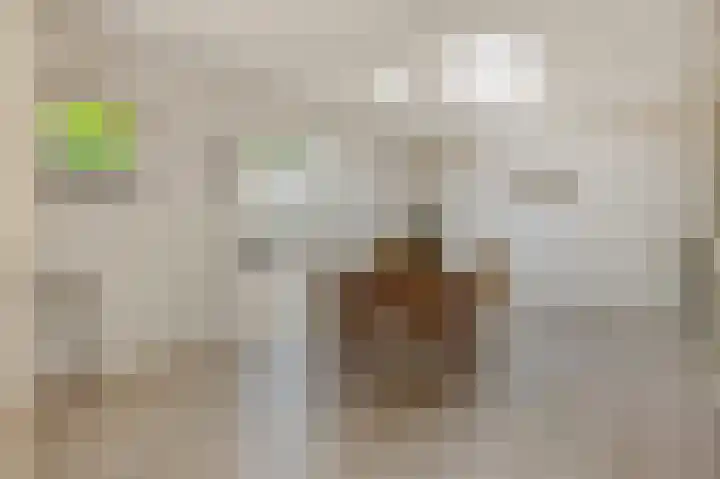 Hazenpad 4 Neerkant thumbnail 17