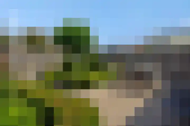 Hazenpad 4 Neerkant thumbnail 27