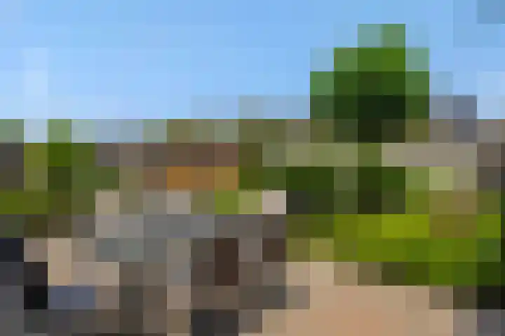Hazenpad 4 Neerkant thumbnail 29