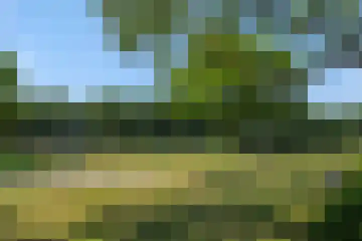 Hazenpad 4 Neerkant thumbnail 33