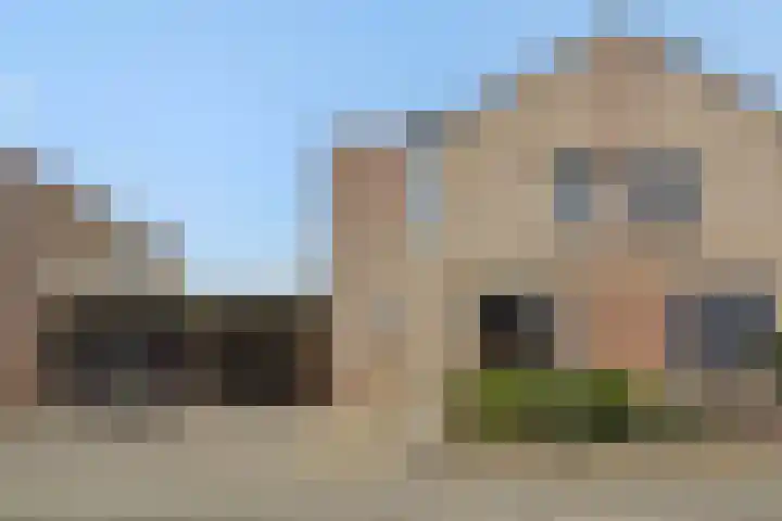 Hazenpad 4 Neerkant thumbnail 6