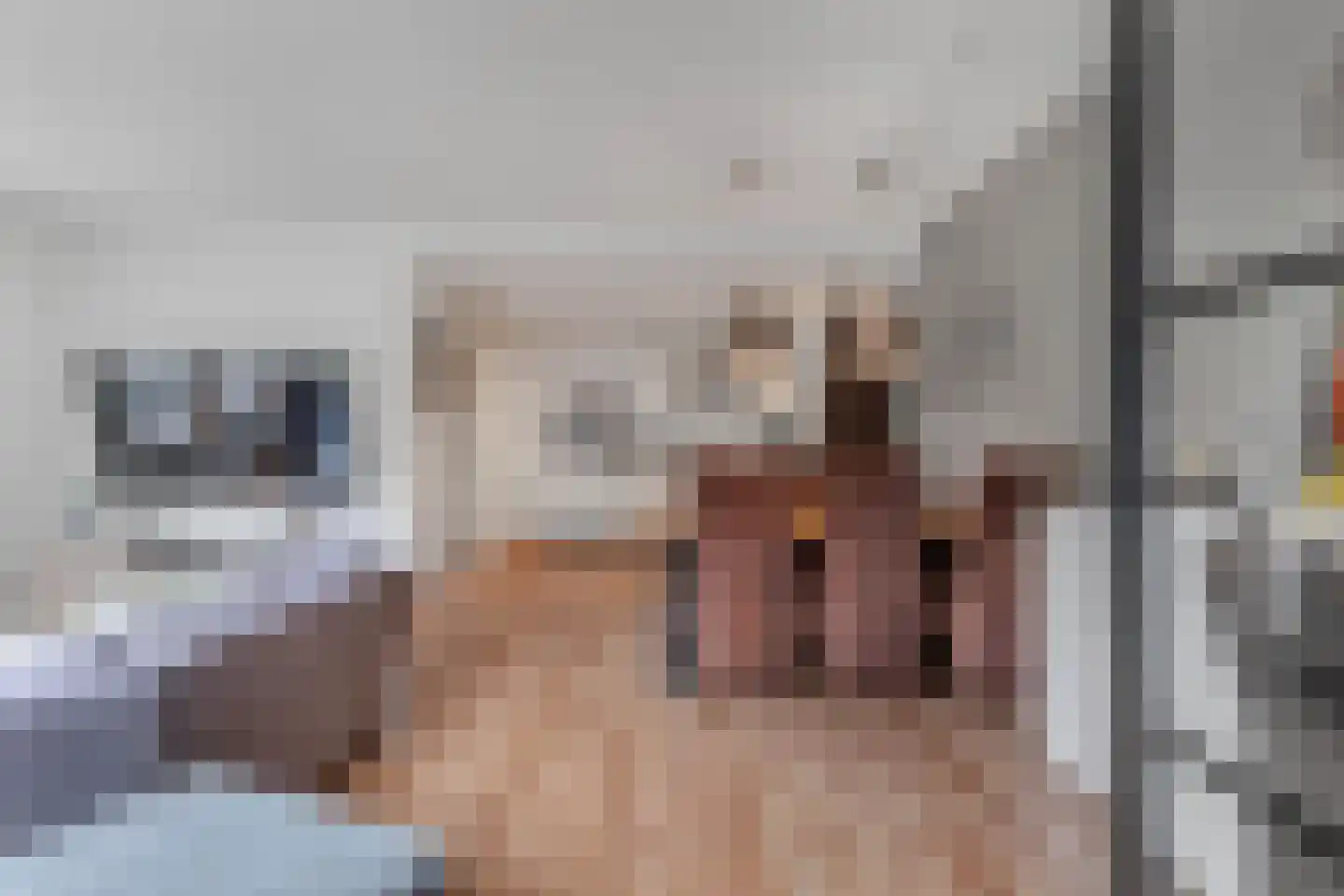 Hazenpad 7 Wilhelminaoord thumbnail 12