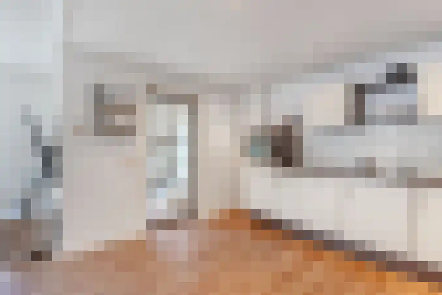Hazenpad 7 Wilhelminaoord thumbnail 15