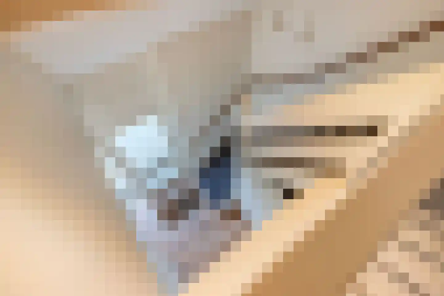 Hazenpad 7 Wilhelminaoord thumbnail 22