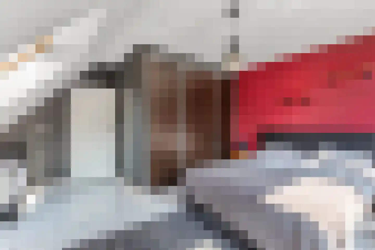 Hazenpad 7 Wilhelminaoord thumbnail 24