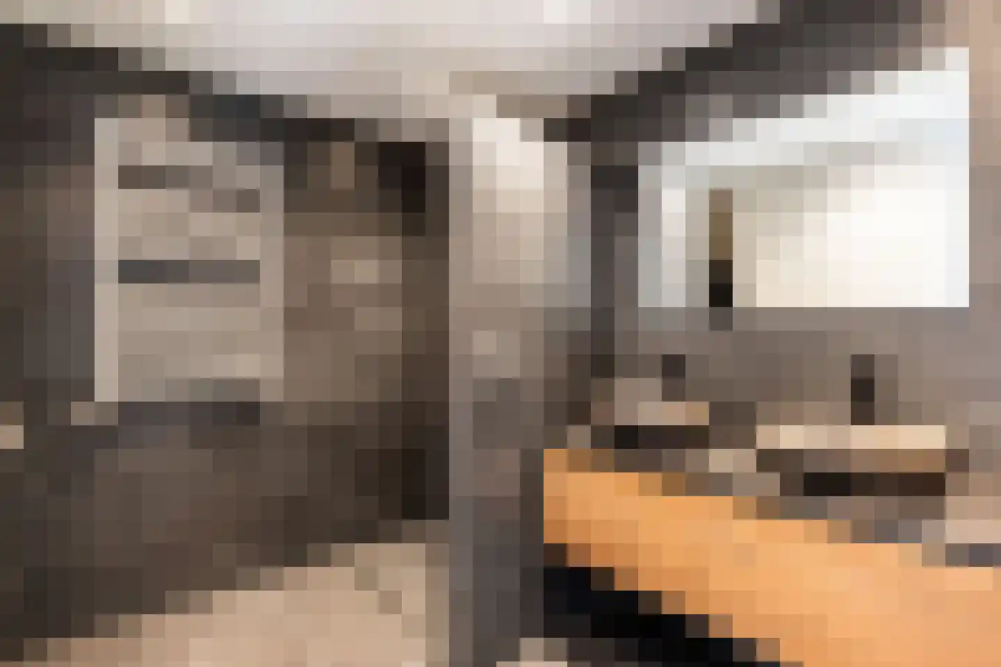 Hazenpad 7 Wilhelminaoord thumbnail 26