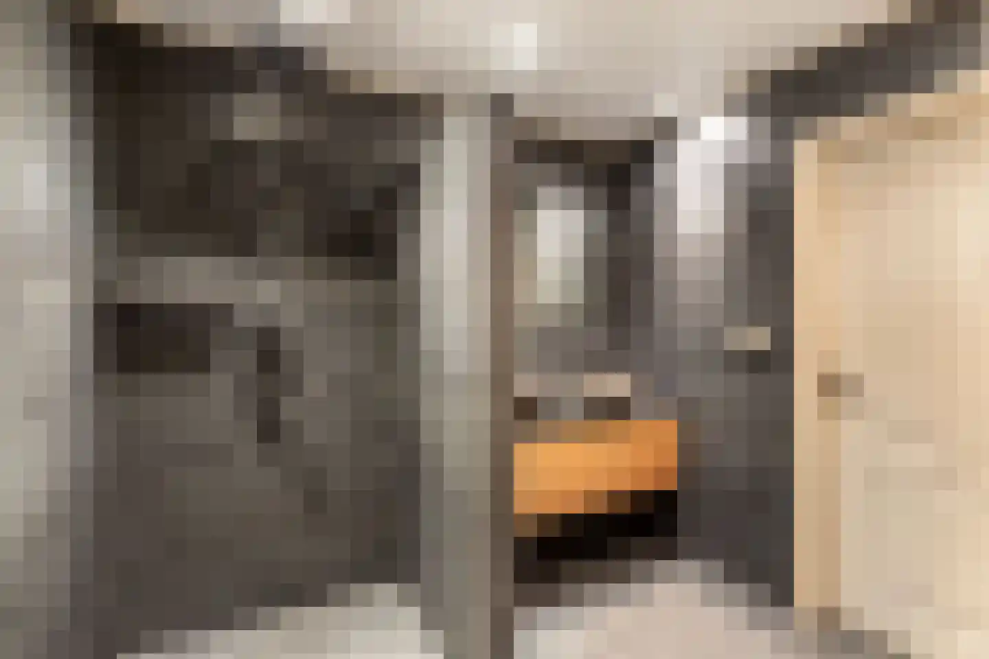 Hazenpad 7 Wilhelminaoord thumbnail 27