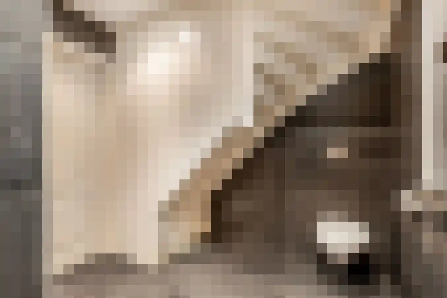 Hazenpad 7 Wilhelminaoord thumbnail 28