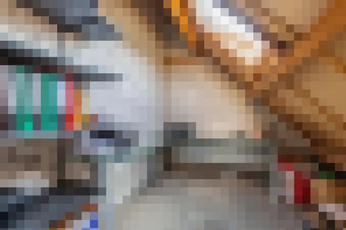 Hazenpad 7 Wilhelminaoord thumbnail 31