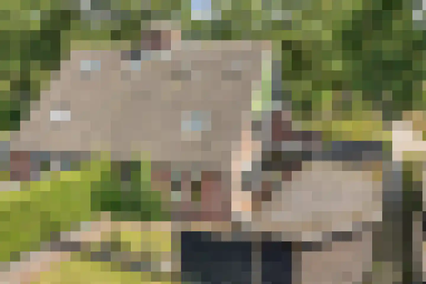 Hazenpad 7 Wilhelminaoord thumbnail 40