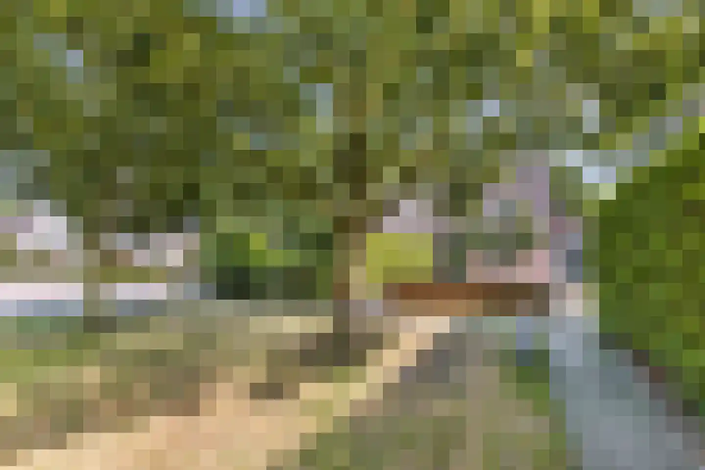 Hazenpad 7 Wilhelminaoord thumbnail 42